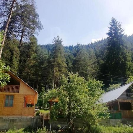 Guest House Ilia Bordschomi Exterior foto