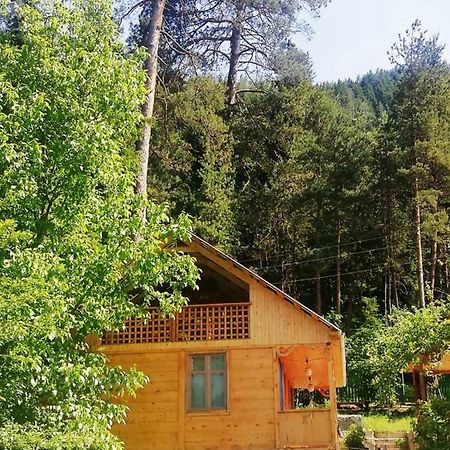 Guest House Ilia Bordschomi Exterior foto
