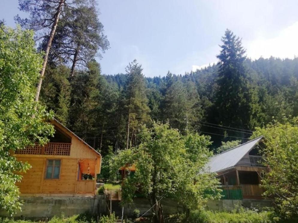 Guest House Ilia Bordschomi Exterior foto