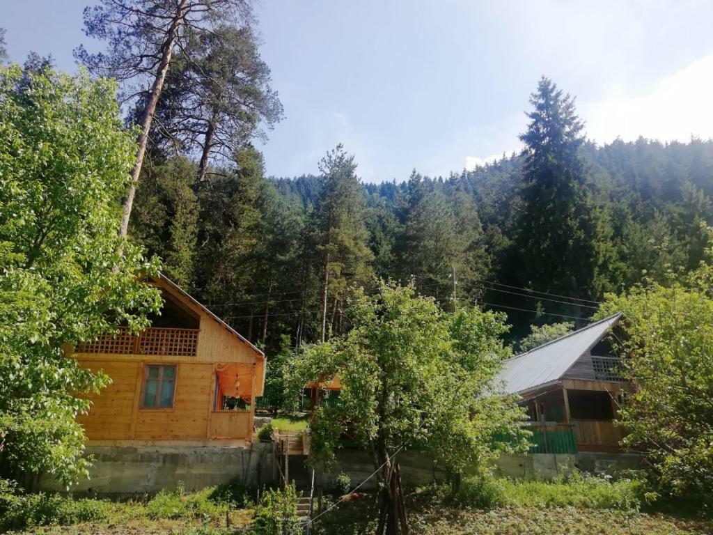 Guest House Ilia Bordschomi Exterior foto