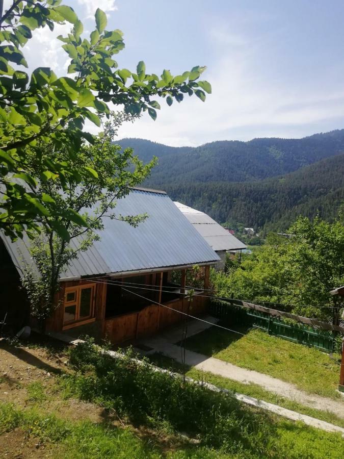 Guest House Ilia Bordschomi Exterior foto