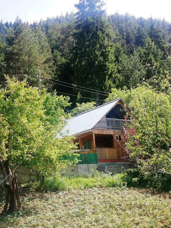 Guest House Ilia Bordschomi Exterior foto